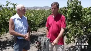 2016 Vintage Updates from Barossa Dirt. Episode 2: Dutschke Wines