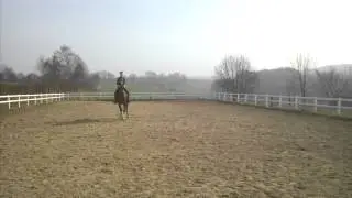 Floyd M&auml;rz 12 Traversale Galopp links.3gp