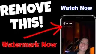 How to Save TikTok Videos Without the Watermark! | Remove TikTok Watermark 2021