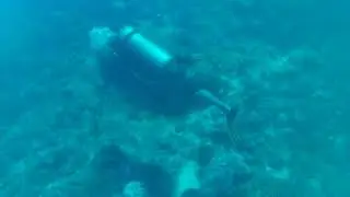 visit the fish during this video of a dive in Taaha, French Polynesia