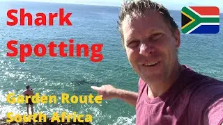 🇿🇦 SHARK Spotting: Great White @ Robberg Nature Reserve {Budget Travel Plettenberg Bay SOUTH AFRICA}