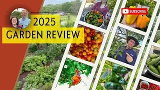 2025 Garden Review