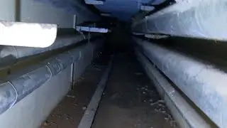 Россвуд: Часть 4