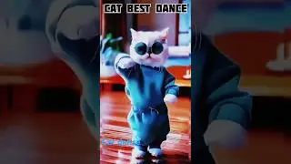 best cat dance video #shorts #viralshorts #trnading #shortfeed #dancevideo #catshorts #cat