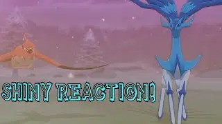 Shiny Xerneas Reaction (Dynamax Adventures in SwSh, Multi with Whytekong and Player Blank)