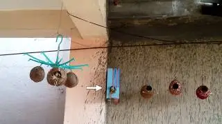 How sparrow couple teach a baby sparrow to fly, baby first fly