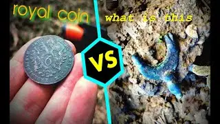 Royal coin found by metal detector!And a strange thing