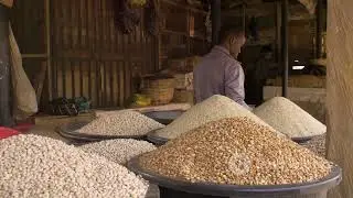 Produce Your Own Organic Concentrate for Livestock Feeds