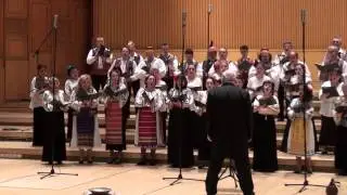 Gheorghe DANGA  - Sarba pe loc