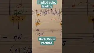 Voice leading Sarabande for Violin #musictheory #bach #partita #sarabande #jsb #shorts #counterpoint