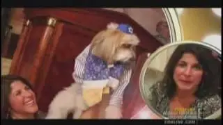 BUMPY'S BARKMITZVAH ON E! TV