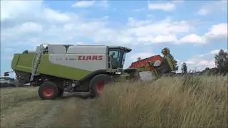 žně 2015 řepka (Claas lexion 550+ v 750) (2)