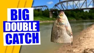 Throwing BIG BAIT in a BIG RIVER will catch BIG ALLIGATOR GAR