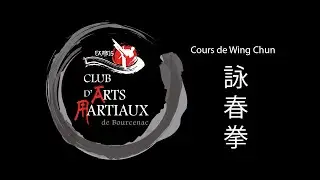 Chi sao ou main collante d'une seule main