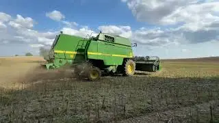 Żniwa dzień 4 - rzepak kt&oacute;ry ładnie wygląda przeciętnie plonuje 