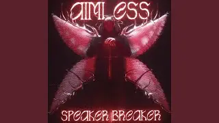 Speaker Breaker