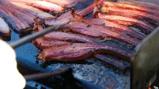 Go BACON Crazy at BACONFEST | Bite Size