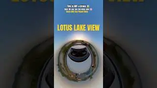 POV: Coastal Highway Drive | Kalay Lotus Lake View | #viral #shorts #shortsfeed #ytshorts #roadtrip