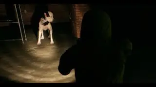 Hunted by the Hounds! | Escape the Backrooms Part 2