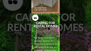 Caring for rental homes | BLOG #landlordtips #propertymarket