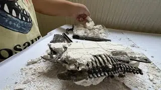 Dinosaur Fossil Excavation Kit / Ausgrabungsset Dinosaurier 