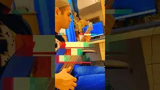 🎸 Funky Bass Slap Groove | No Effects, Just Pure Tone! 🔥 #shorts