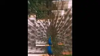 NATURALLY BEAUTIFAL AS IT IS || GOD IS THE MASTER IN ARTIST AND ENGINEER || #ladygod #ablegod