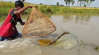 Amazing Natural Polo Fishing 🐳🐳 Primitive Technique Fishing By Traditional Bamboo Tools Fish Trap