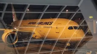 【ビジネスクラス】 バンコク &rArr; 中部 JAL738便 B787-8 / JA828J 