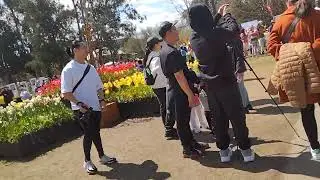 Canberra flower festival 2022