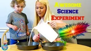 Colour Changing Milk Science Experiment For Kids