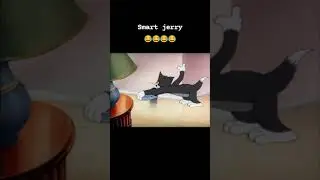 Smart Jerry...#jerry #tom #jerryboy #cartoons