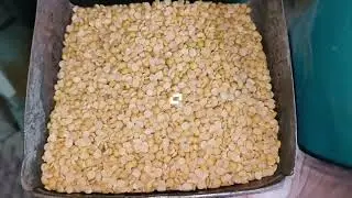 red toor dall - venkata sai agro industrei durgi