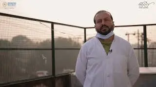 From Rescue to Recovery: Humane Dog Care by JMC | Dr. Sandeep Kotwal, JMC