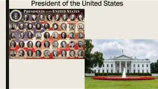 US Government: The Executive Branch