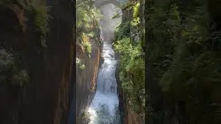 Relaxing Stream Sounds for Inner Peace 🍃💧 #shorts