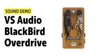 VS Audio BlackBird Overdrive - Sound Demo (no talking)