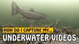 HOW TO GET UNDERWATER VIDEOS WHEN ICE FISHING | Fishing with Rod