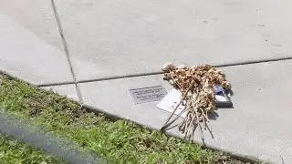 Visiting Chester Bennington Memorial Plaque | Tribute to Linkin Park