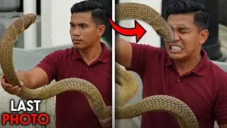 The Most HORRIFYING Snake Attacks Ever Recorded On Camera!