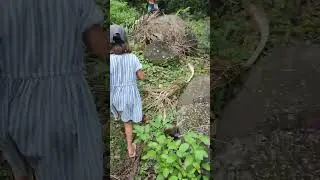 Hatiheu (NuKu HivA)