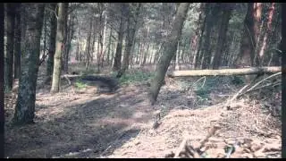 Pineys Mini Edit