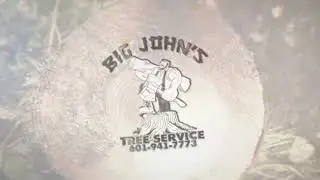 Tree Trimming In Jackson Mississippi 601-941-7773