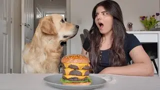 Leaving My Dog Alone with a JUICY Burger 🍔🤤
