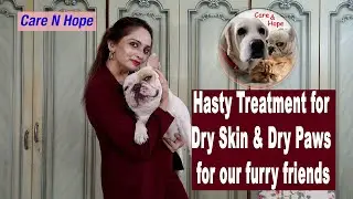Hasty Treatment for dry skin and dry paws | Expeditous care for furry babies | Vinita Jaiswal