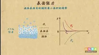 04表面张力    固体 液体和物态变化     高中物理