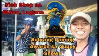 FishShop Visit | Sir Erwin Galit Gendrano ng Biñan Laguna | LateUpload