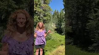 Cosmic Reality Check @Mt Shasta  New Moon Virgo &copy; 2024