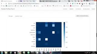 Pandas Profiling