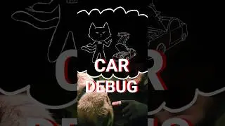 Moving to CA with my Cats! | Cat Superhero VICIOUSLY Debugs Car (Part 2)